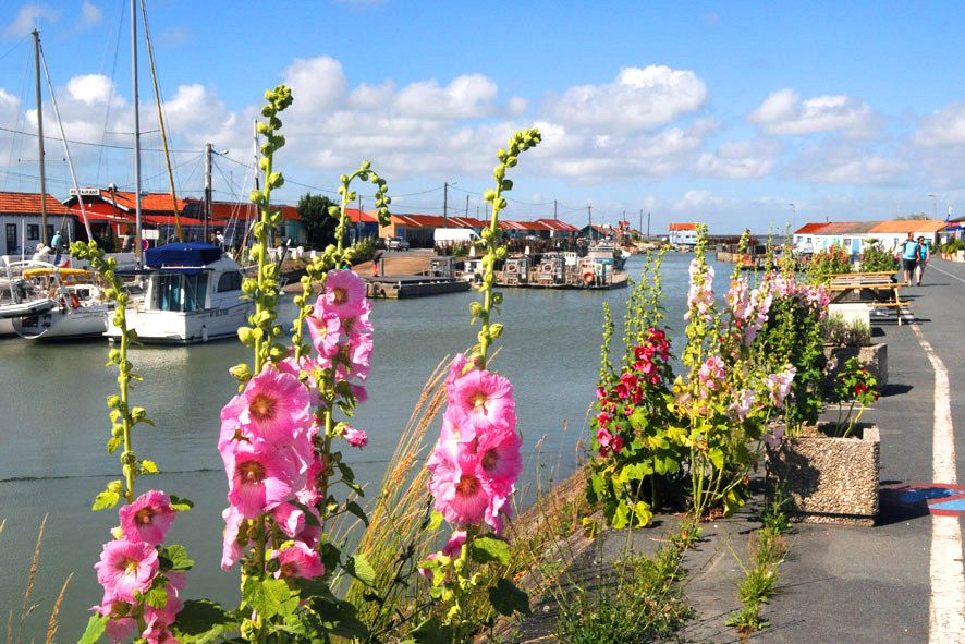 Vue du port Terre et Mer 17 à Saint-Trojan les Bains